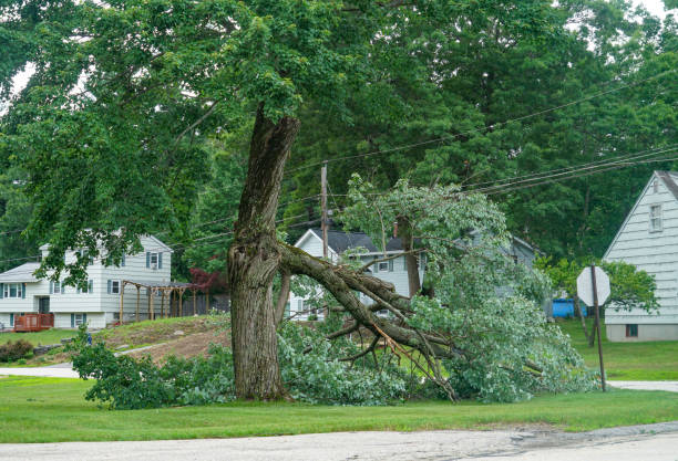 Best Utility Line Clearance  in Gerald, MO